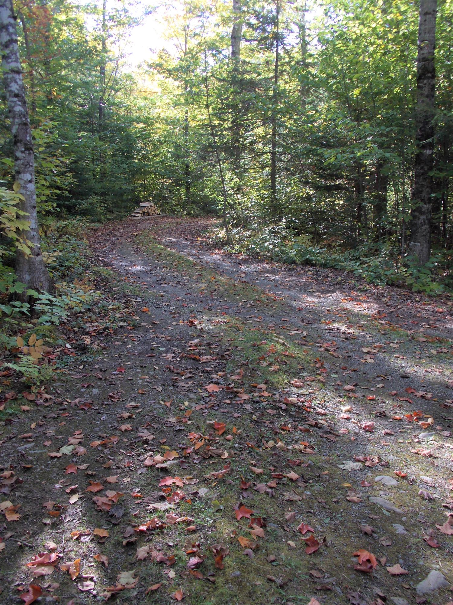 399 Number 10 Road Dexter, ME 04930 - Photo 35 of 64 DSCN3304