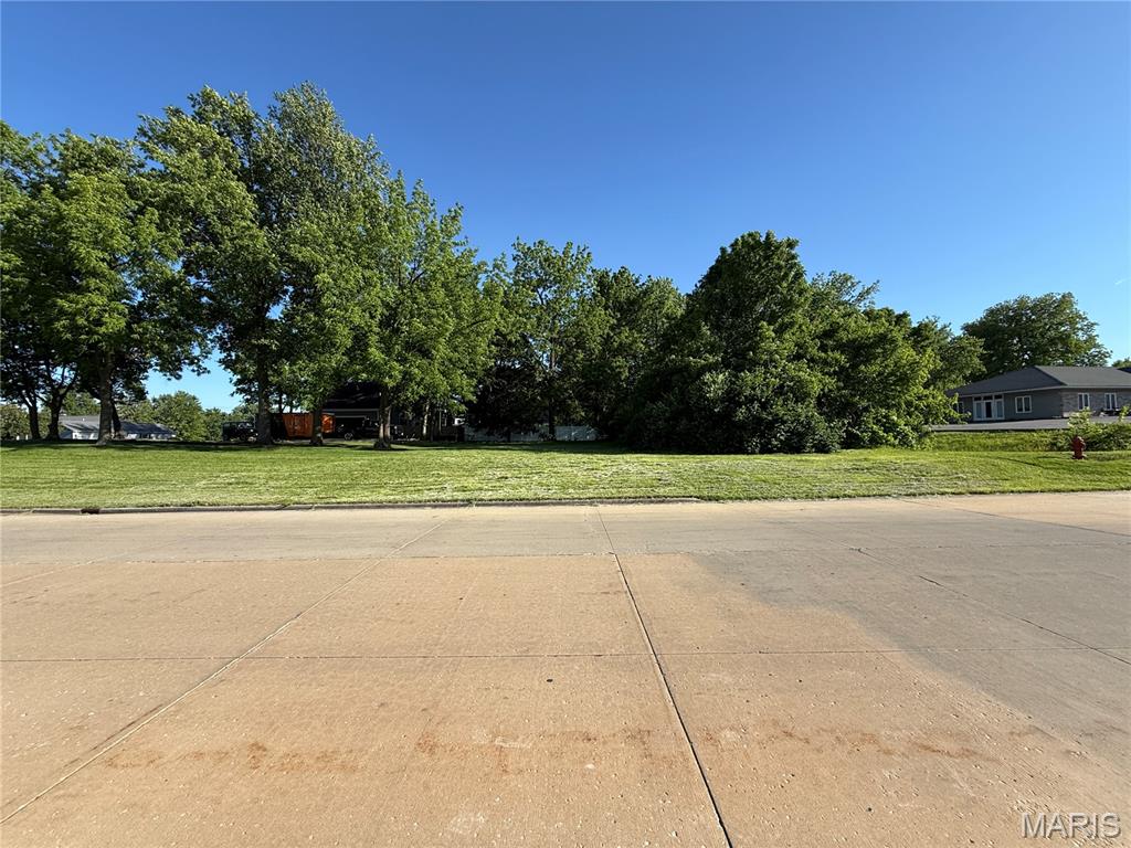 304 East 3rd Street Waterloo, IL 62298 - Photo 3 of 10