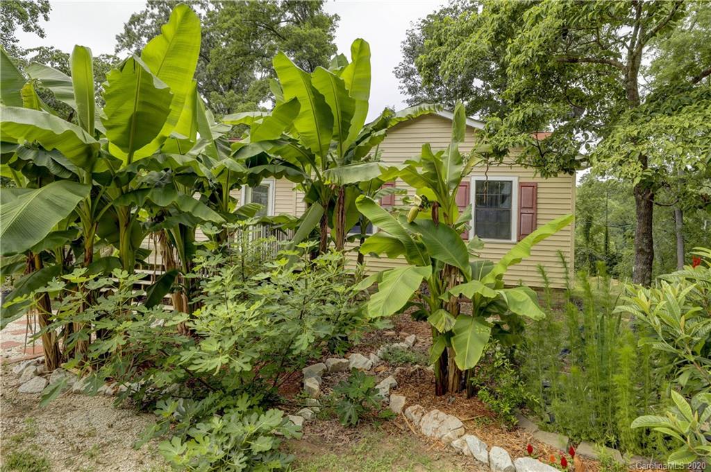 1024 Willis Farm Road Clover, SC 29710 - Photo 2 of 48 a backyard of a house with lots of green space