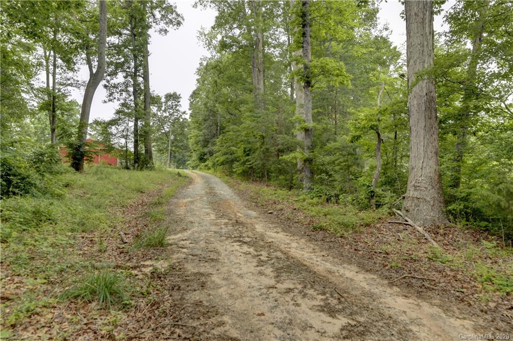 1024 Willis Farm Road Clover, SC 29710 - Photo 3 of 48 a big yard with lots of green space and deers