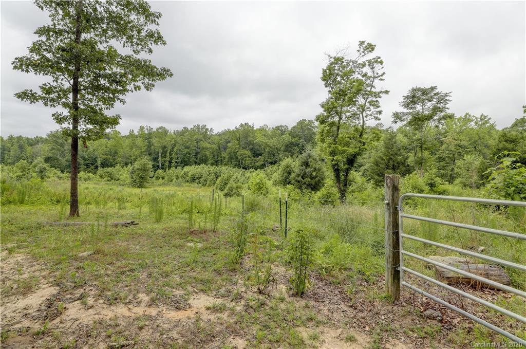1024 Willis Farm Road Clover, SC 29710 - Photo 36 of 48 a view of a green field with a tree