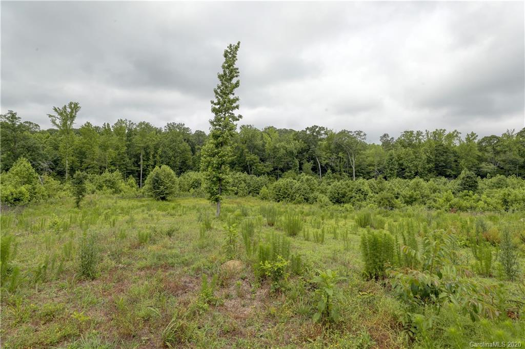1024 Willis Farm Road Clover, SC 29710 - Photo 40 of 48 a view of a city with lush green forest