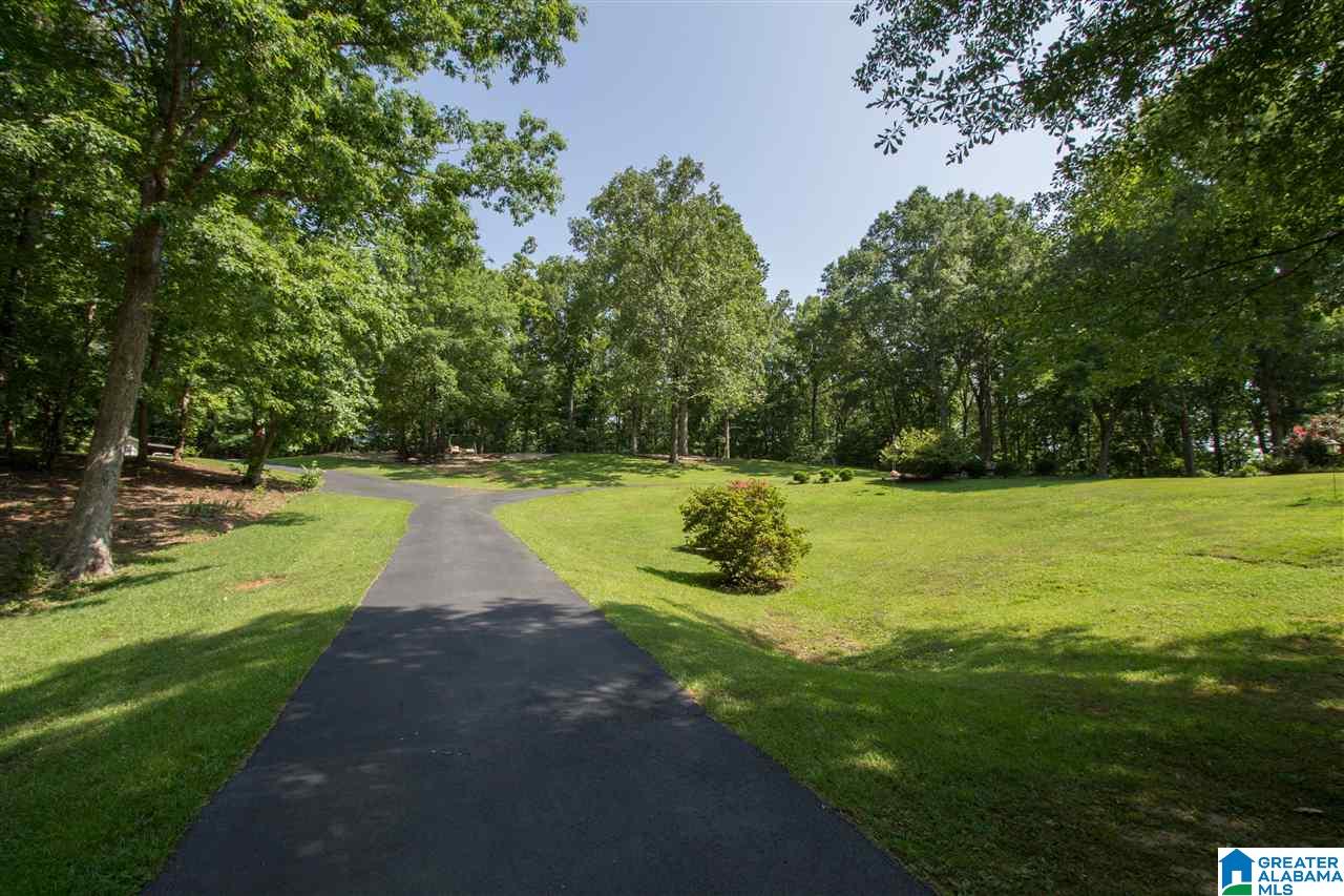 25 Cook Springs Road Pell City, AL 35128 - Photo 45 of 50