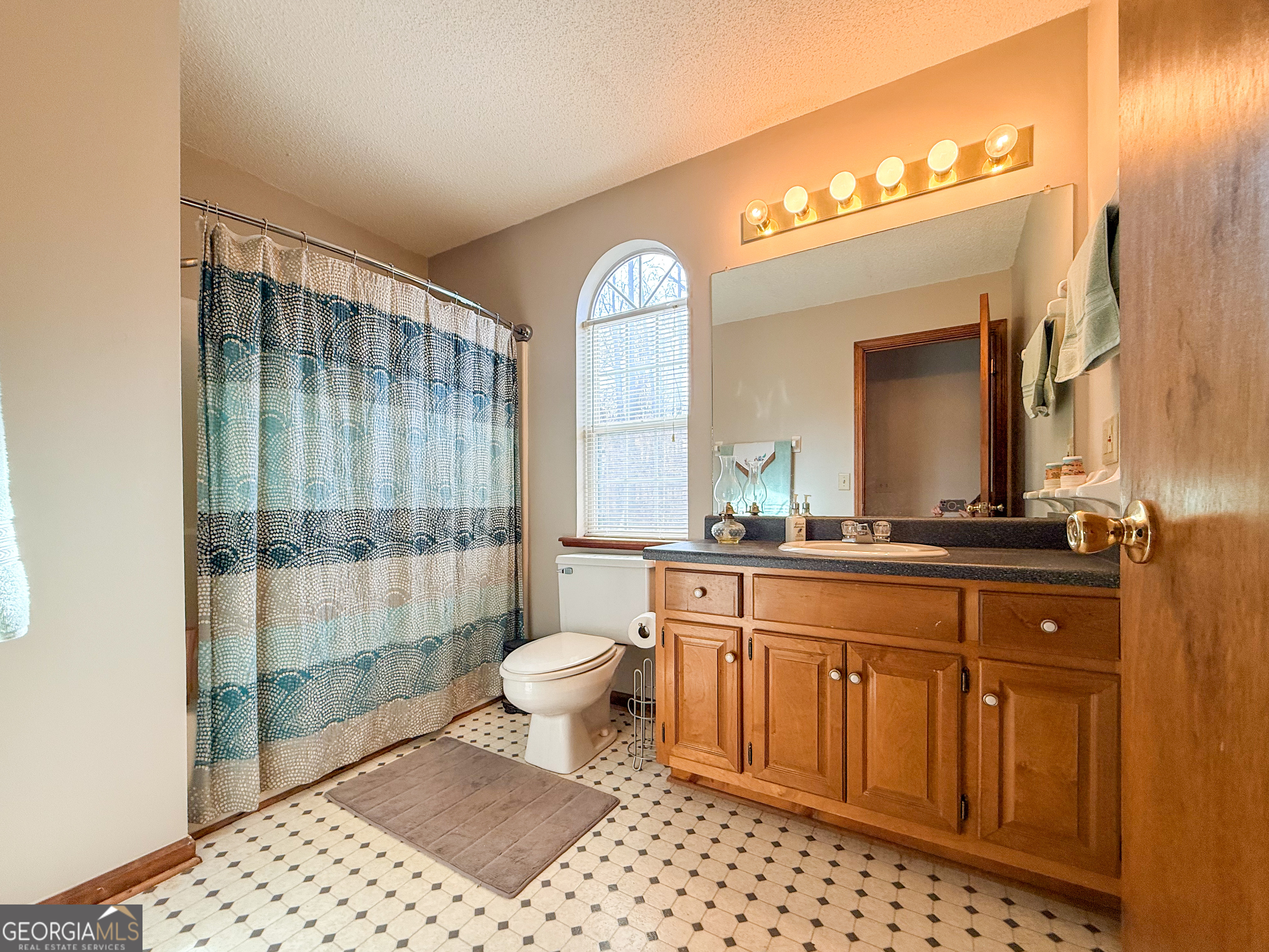 354 Prairie Flower Drive Cleveland, GA 30528 - Photo 27 of 49 a spacious bathroom with a toilet a sink and a mirror