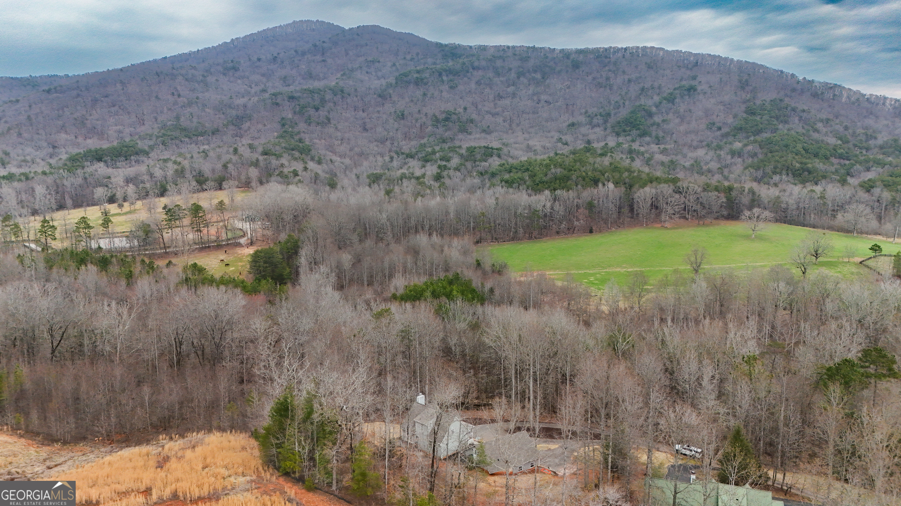 354 Prairie Flower Drive Cleveland, GA 30528 - Photo 45 of 49 a view of a lush green field