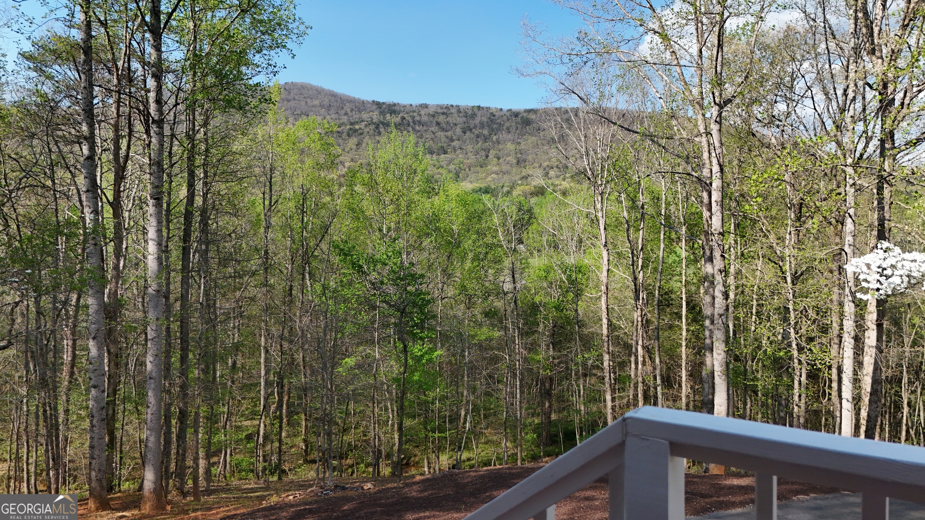 354 Prairie Flower Drive Cleveland, GA 30528 - Photo 6 of 49 a view of a forest from a balcony