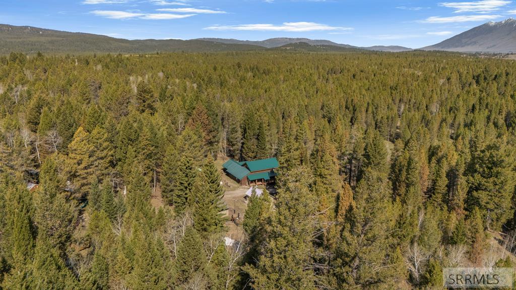 4080 Red Rock Road Island Park, ID 83429 - Photo 50 of 54