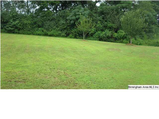 198 Emmaus Road Cleveland, AL 35049 - Photo 26 of 31 Gallery Image 26