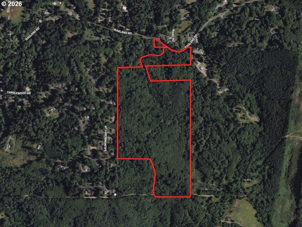 355 Ragland Road Longview, WA 98632 - Photo 7 of 26 a flag is sitting in the middle of a forest
