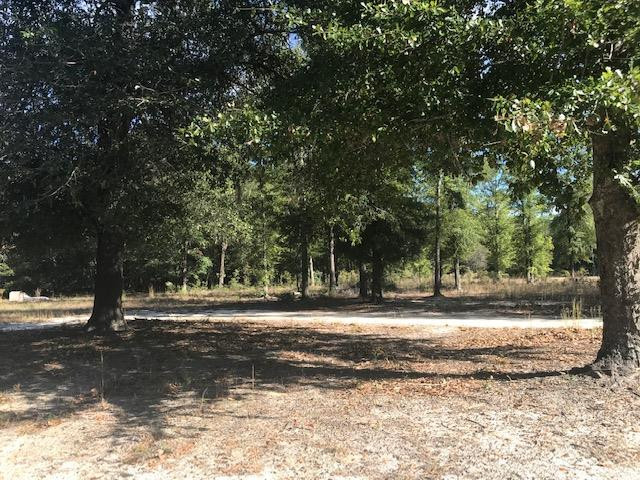 292 Martin Way Barnwell, SC 29812 - Photo 4 of 5