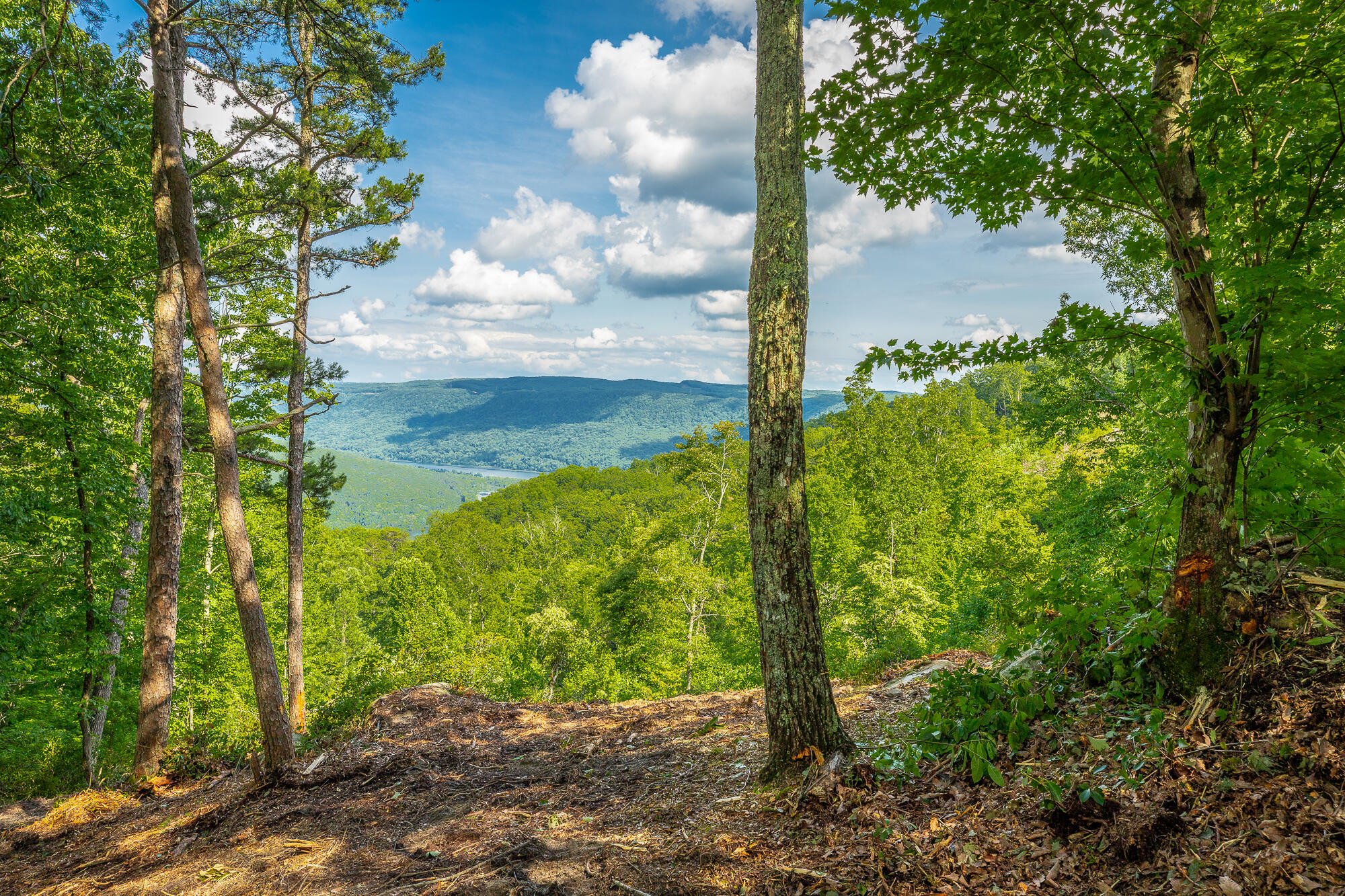0 Back Basin Trail, Unit LOT 1244 Chattanooga, TN 37419 - Photo 23 of 119 MCW Correction HD-27