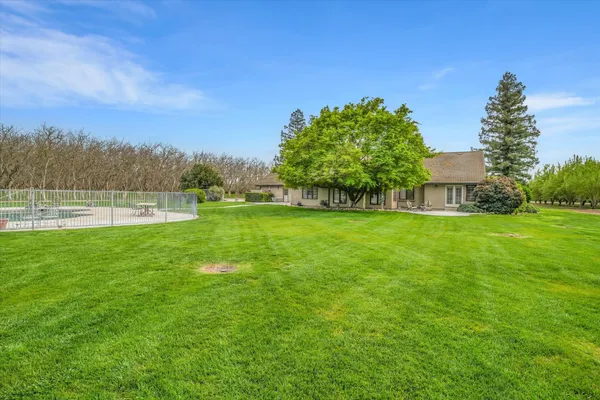 a view of yard with grass and trees