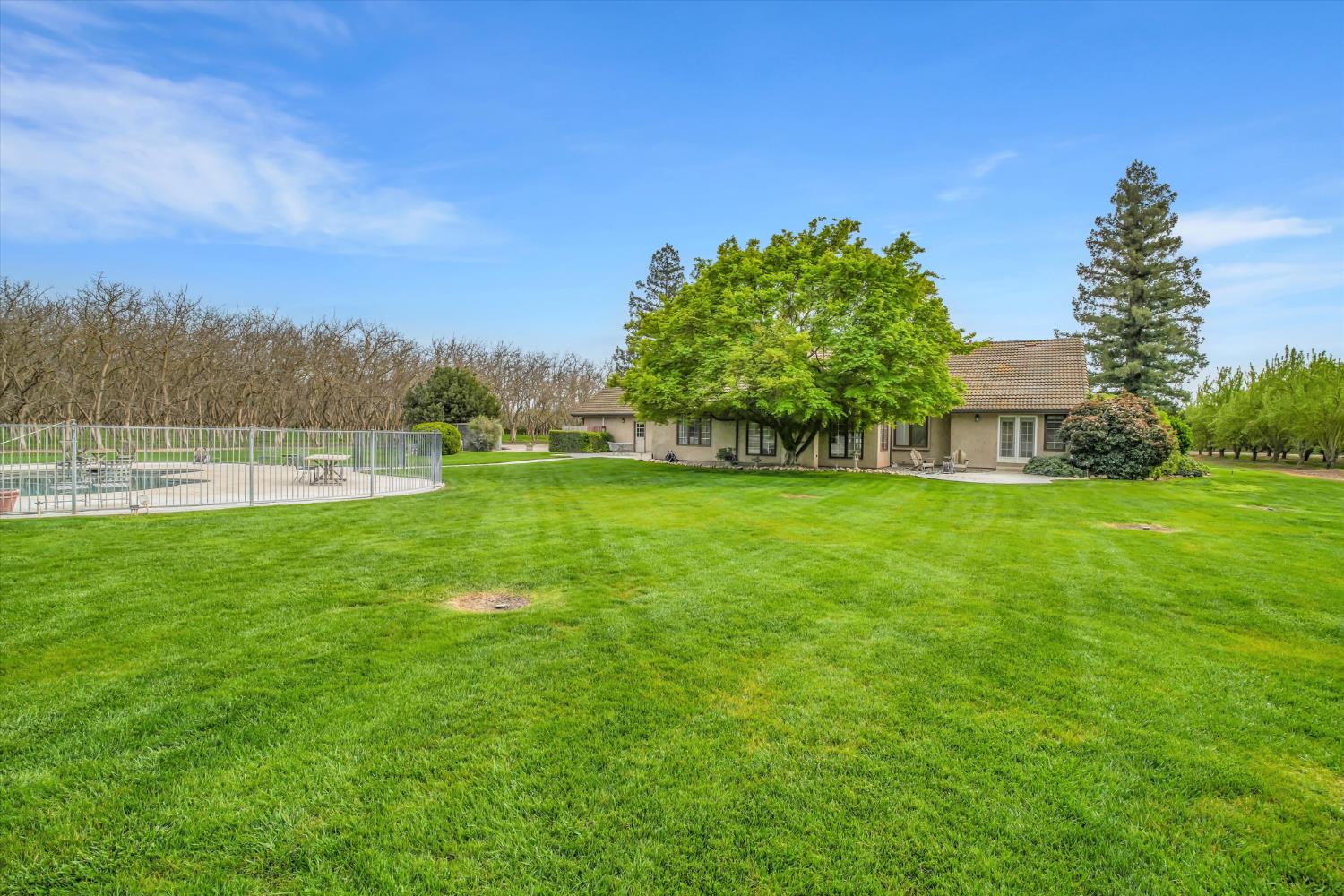 17230 Franscella Lane Ripon, CA 95366 - Photo 35 of 50 a view of yard with grass and trees