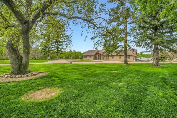a view of a park with large trees
