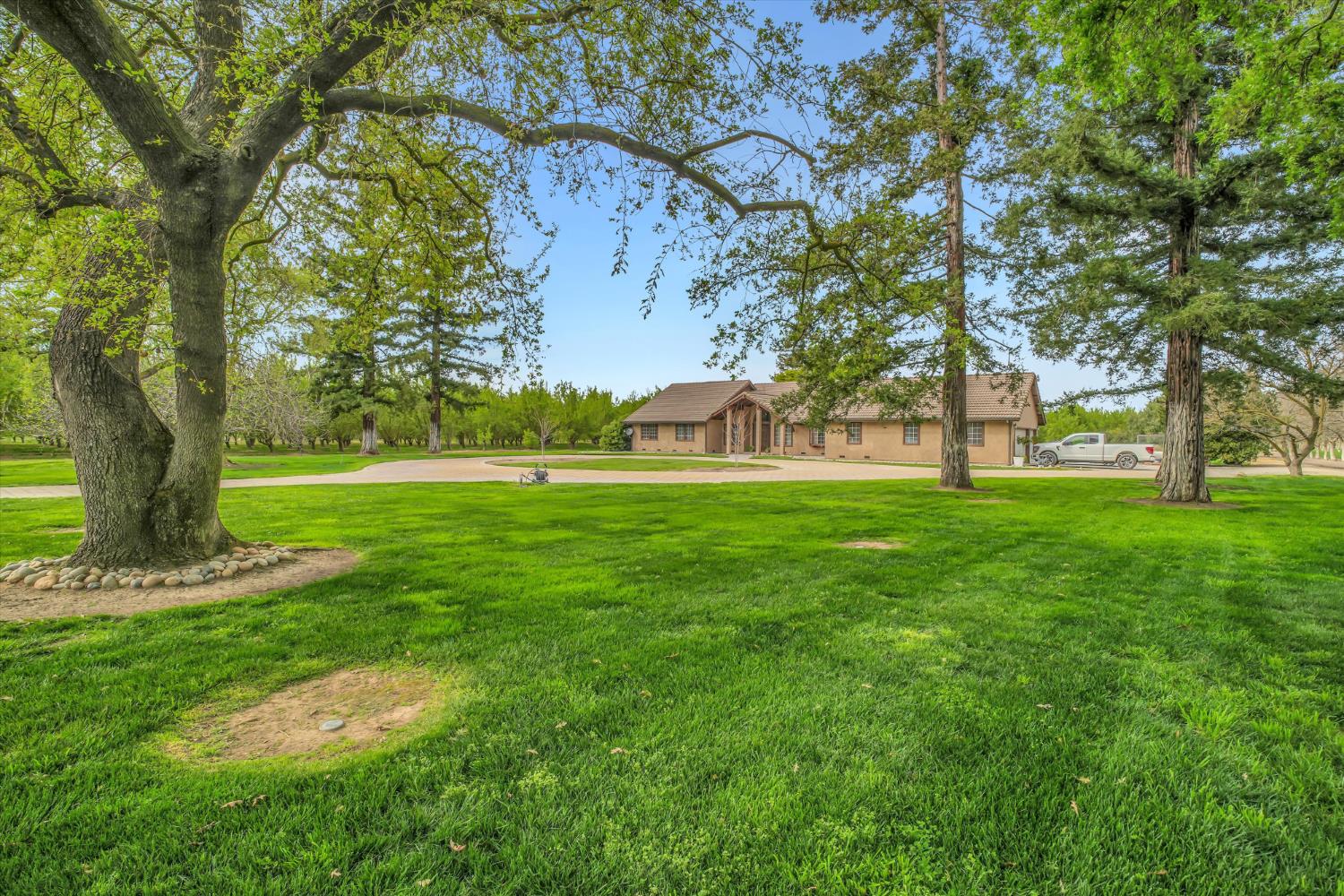17230 Franscella Lane Ripon, CA 95366 - Photo 4 of 50 a view of a park with large trees