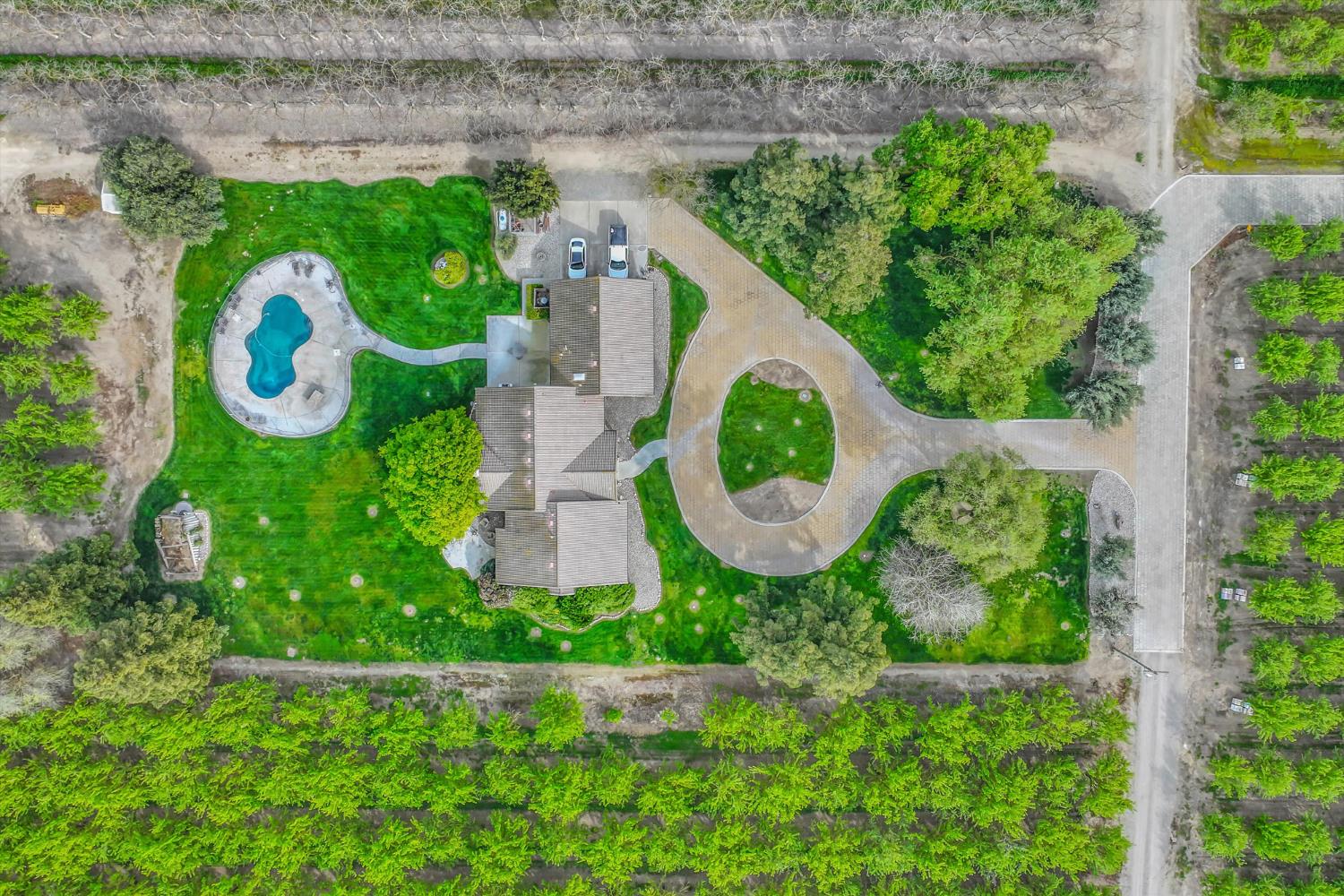 17230 Franscella Lane Ripon, CA 95366 - Photo 42 of 50 a view of a garden with plants