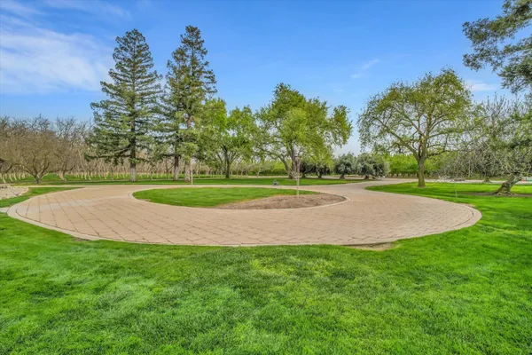 a view of a park and trees