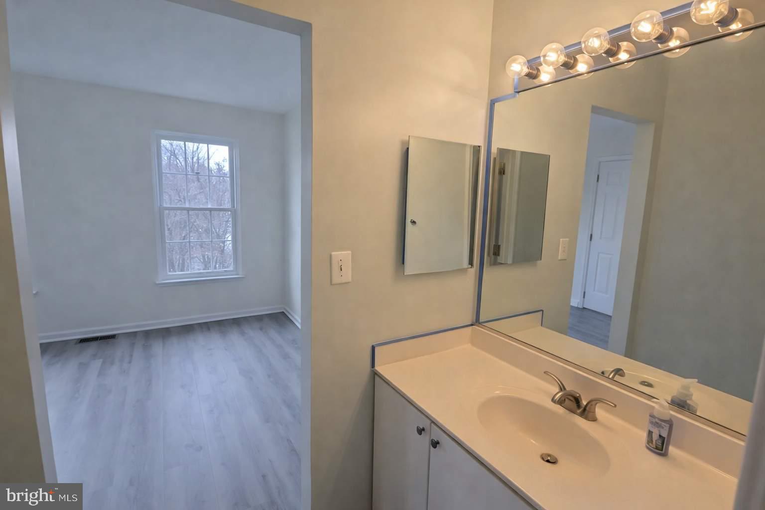 43068 Eustis Street Chantilly, VA 20152 - Photo 20 of 25 a bathroom with a sink vanity and a mirror