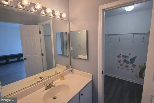 a bathroom with a sink vanity and a mirror