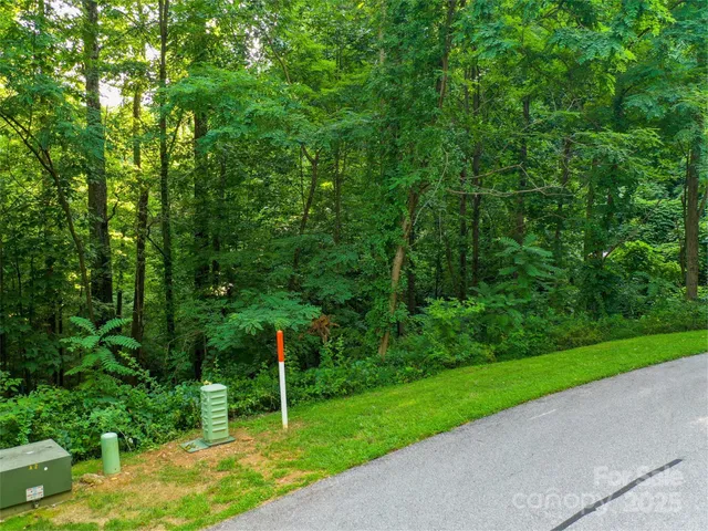 a view of a park with large trees