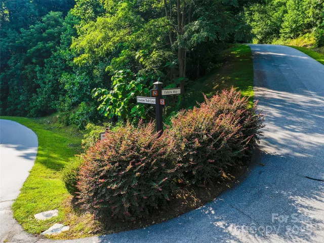 a view of a yard with plants and large trees