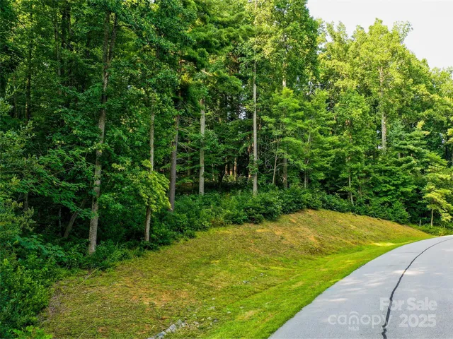 a view of a back yard