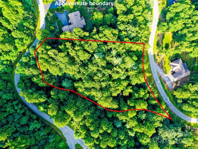 a picture of flowers