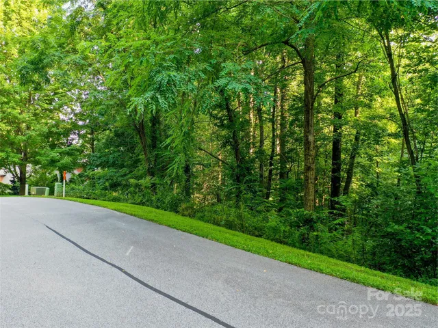 a view of a road from a backyard of a house
