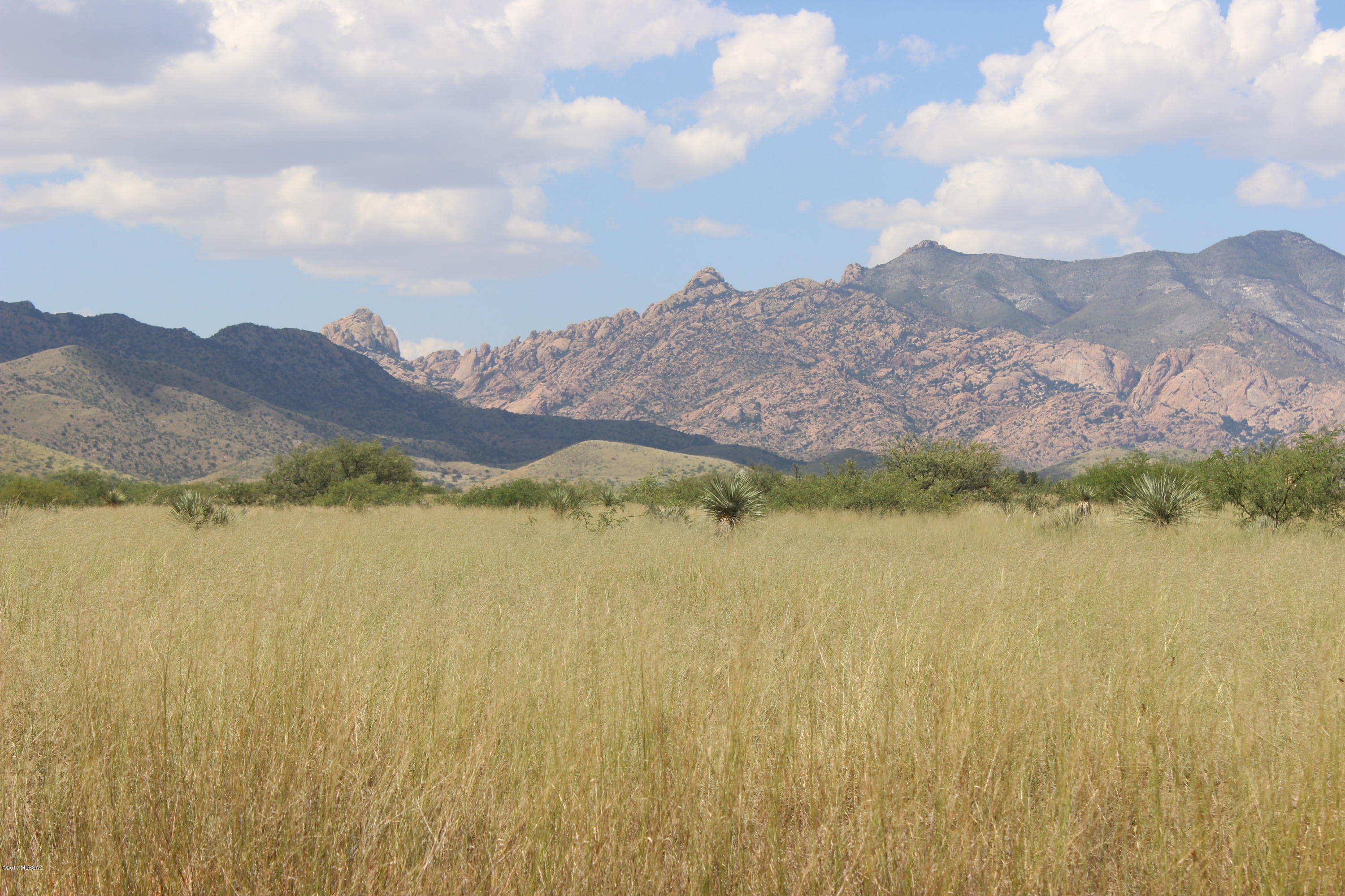 245 Willcox Road, Unit 256/2 Pearce, AZ 85625 - Photo 7 of 10