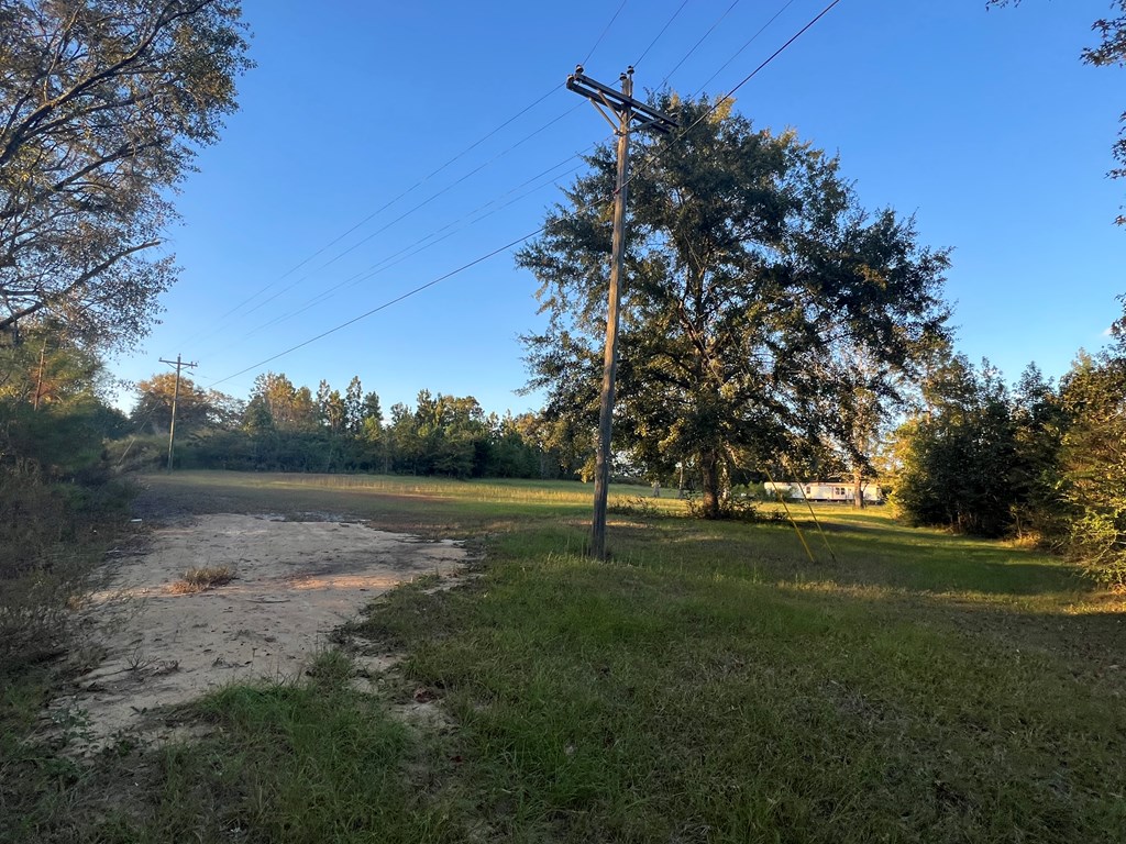 4151 Cotton Box Road Slocomb, AL 36375 - Photo 11 of 17