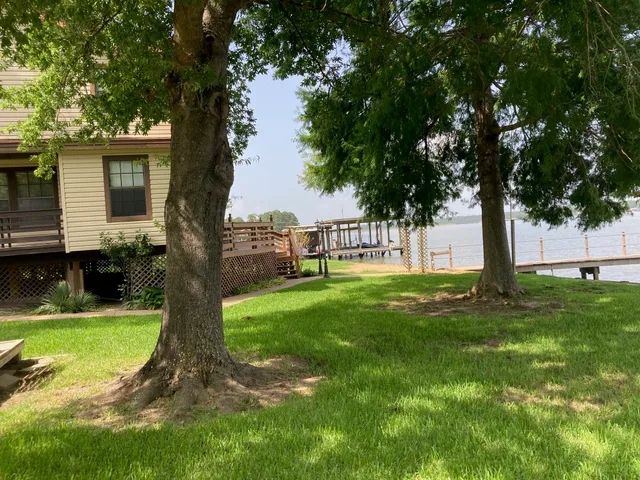 a view of a garden with a tree