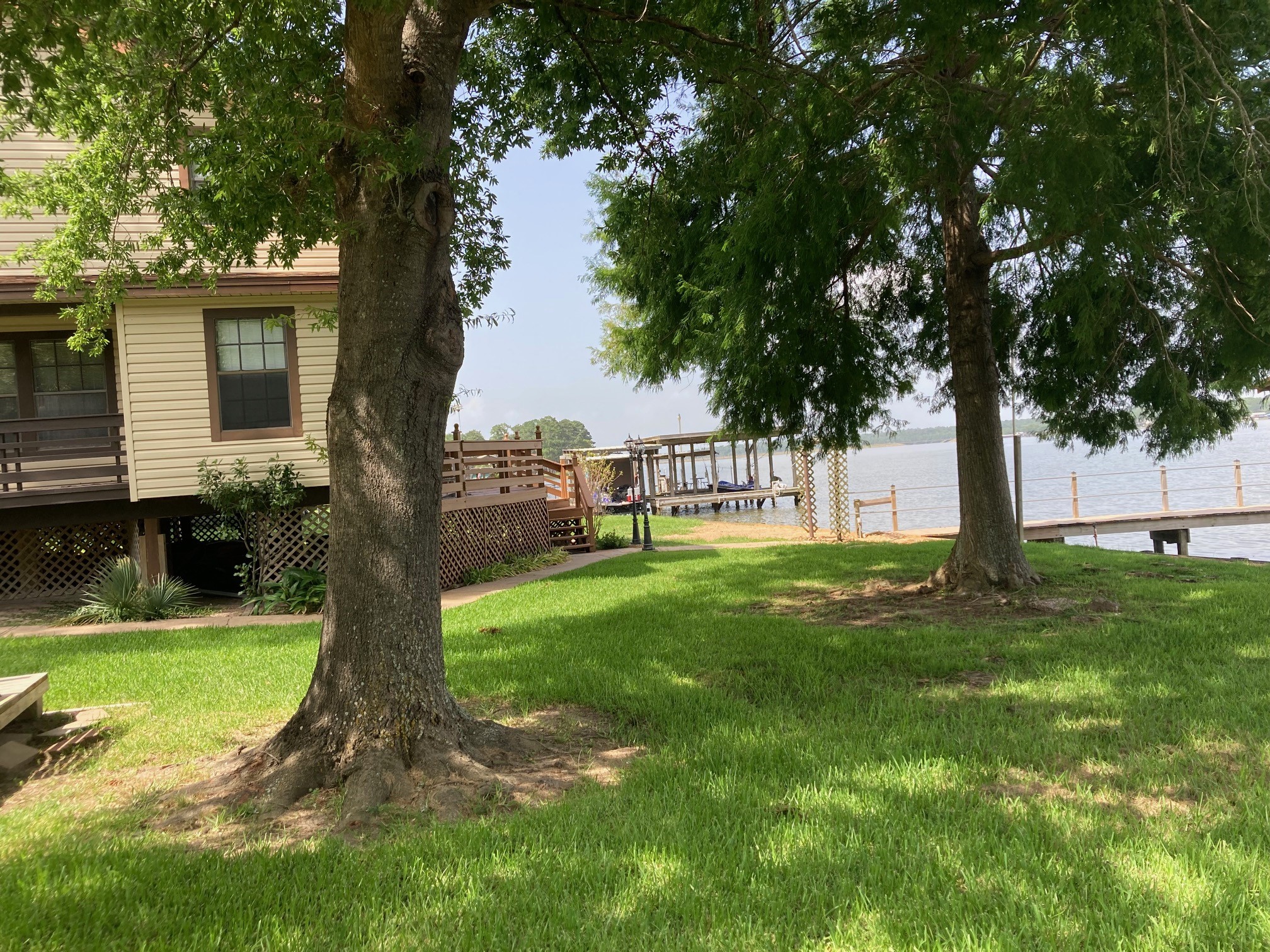 554 Harbor Drive Onalaska, TX 77360 - Photo 6 of 32 a view of a garden with a tree