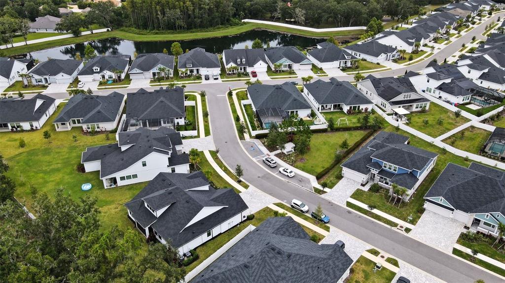 7536 Ashbrooke Pine Loop Odessa, FL 33556 - Photo 35 of 43