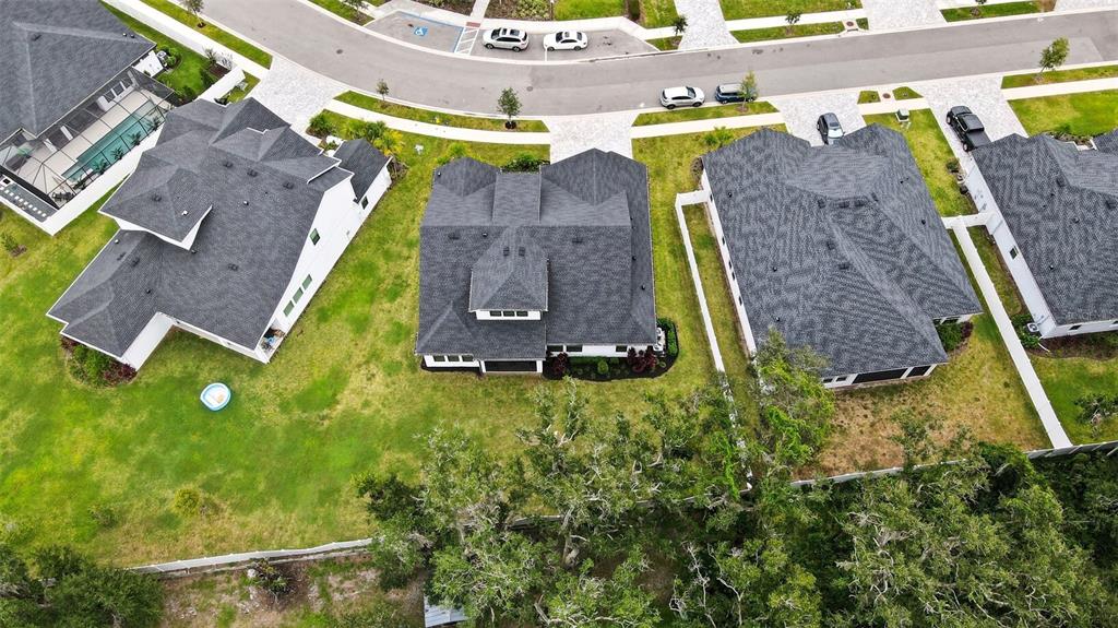 7536 Ashbrooke Pine Loop Odessa, FL 33556 - Photo 36 of 43