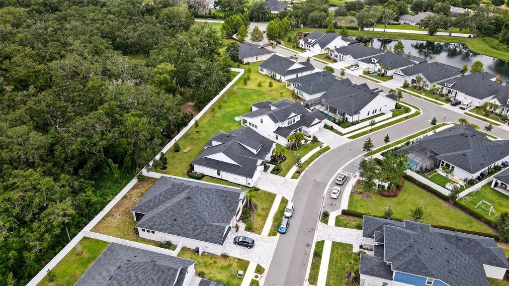 7536 Ashbrooke Pine Loop Odessa, FL 33556 - Photo 38 of 43