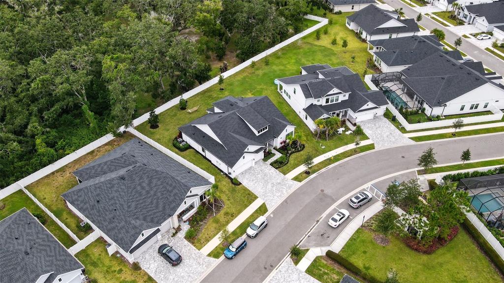 7536 Ashbrooke Pine Loop Odessa, FL 33556 - Photo 39 of 43