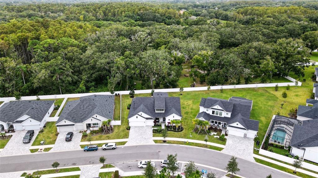 7536 Ashbrooke Pine Loop Odessa, FL 33556 - Photo 40 of 43