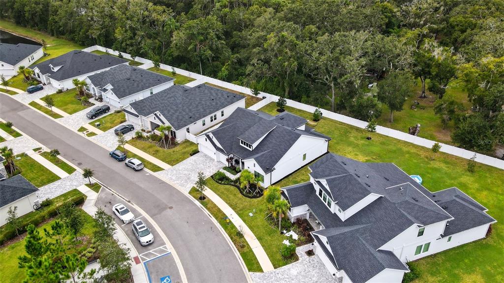 7536 Ashbrooke Pine Loop Odessa, FL 33556 - Photo 41 of 43