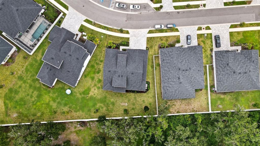 7536 Ashbrooke Pine Loop Odessa, FL 33556 - Photo 42 of 43