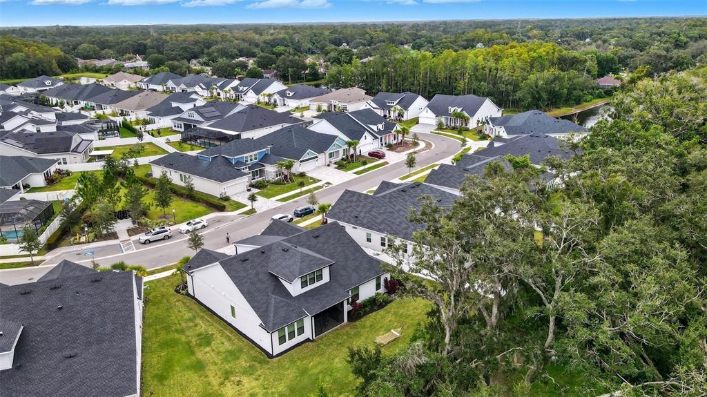 7536 Ashbrooke Pine Loop Odessa, FL 33556 - Photo 43 of 43