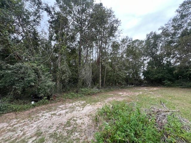 259 Willie Deas Road Madison, FL 32340 - Photo 14 of 31
