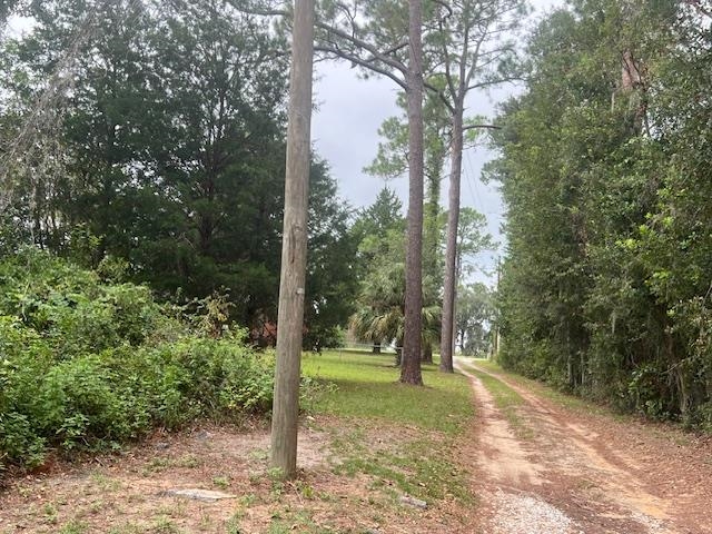 259 Willie Deas Road Madison, FL 32340 - Photo 2 of 31