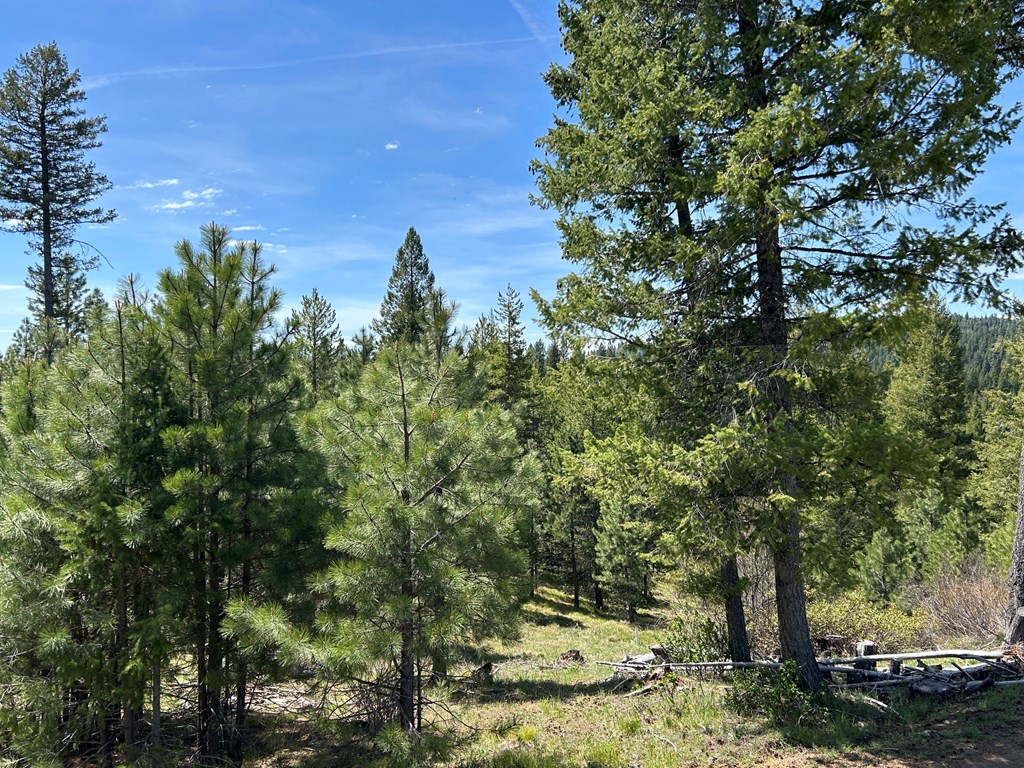 72 Sawtooth Loop, Unit LOT 32 Cascade, ID 83611 - Photo 11 of 12