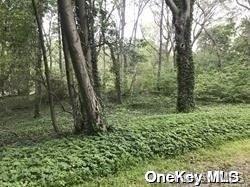 47 Laurel Lane Locust Valley, NY 11560 - Photo 26 of 39