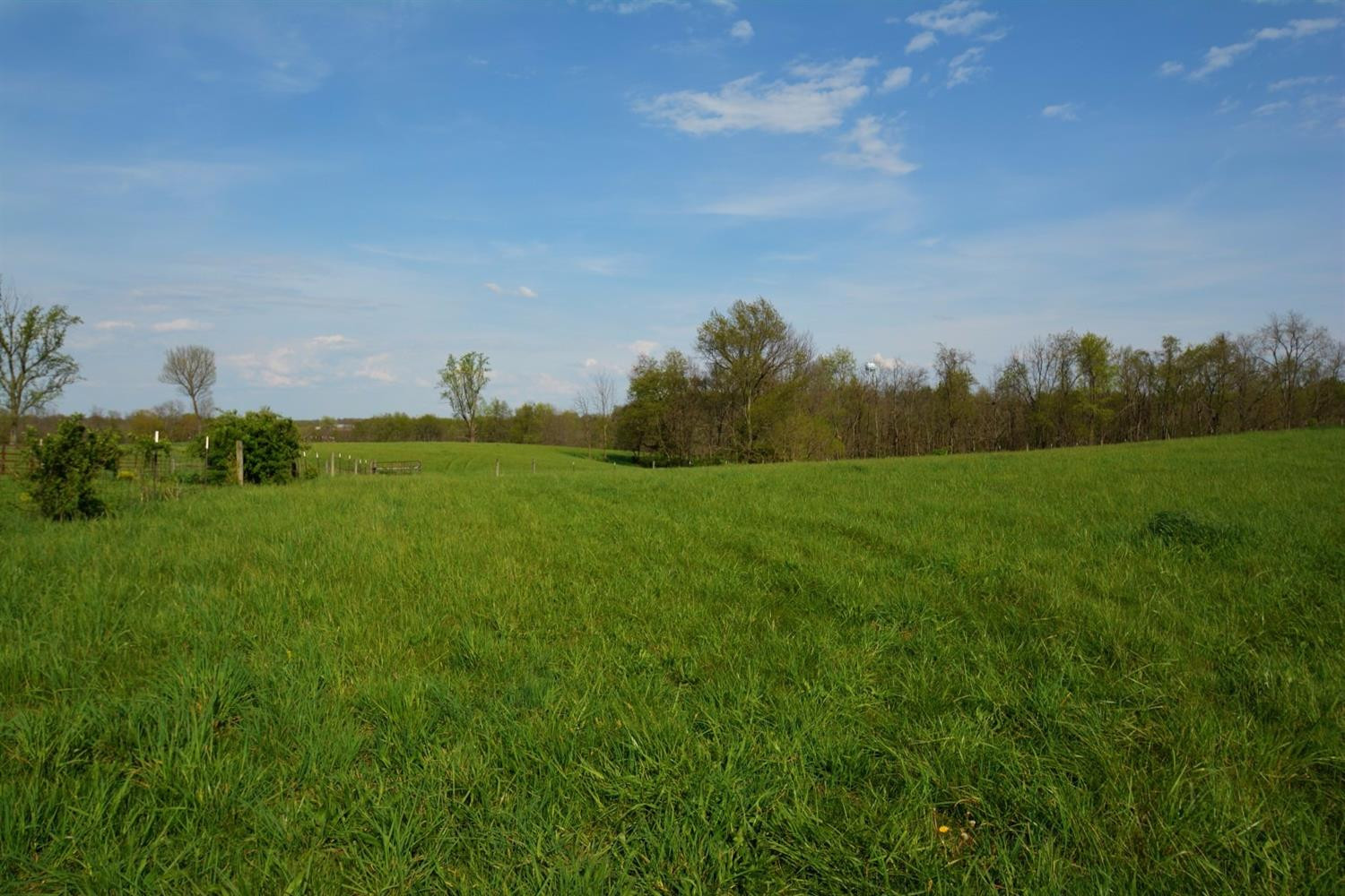 3595 Fords Mill Road Versailles, KY 40383 - Photo 10 of 10 Photo 10
