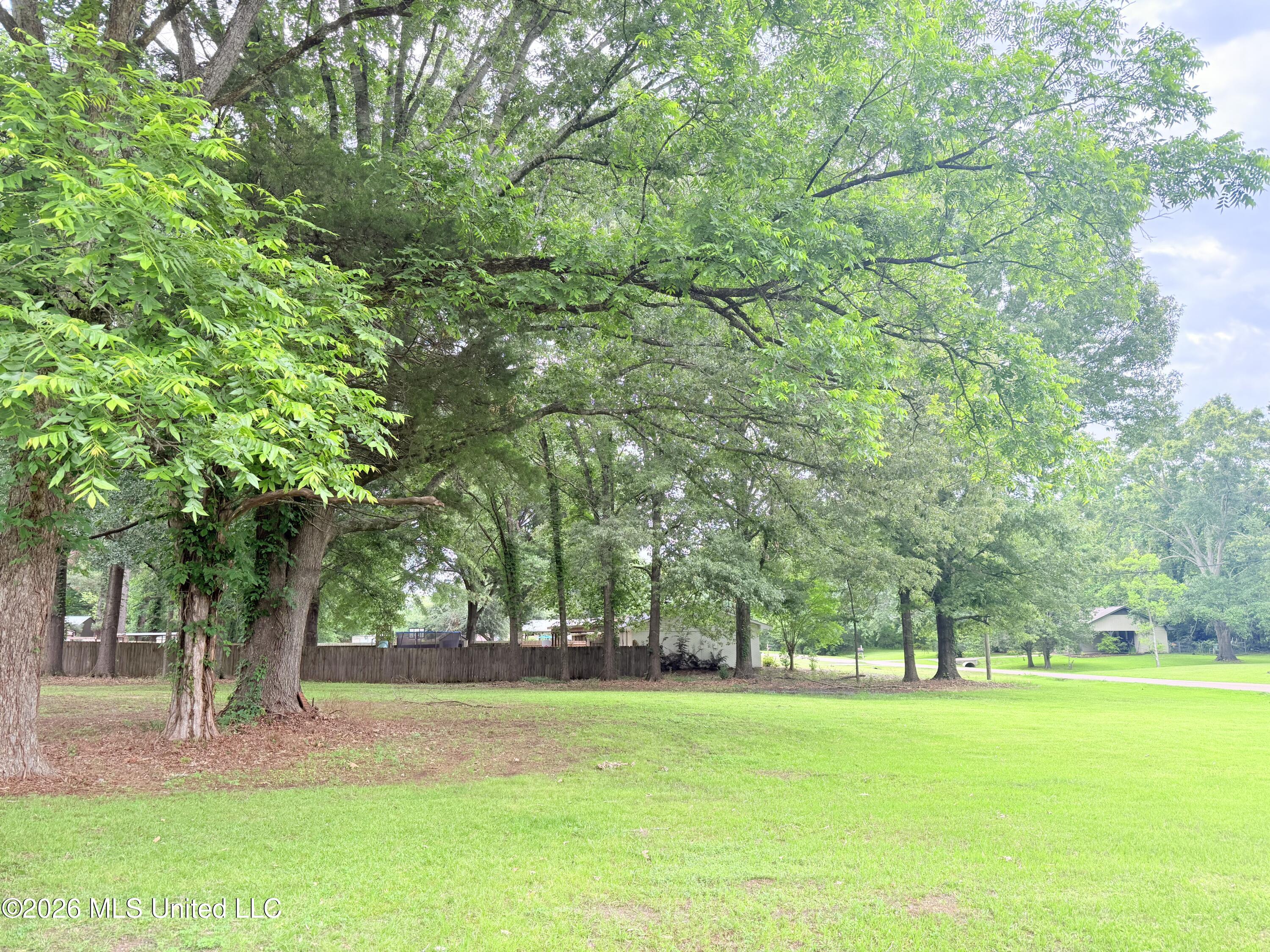 Northwest 4th Street Flora, MS 39071 - Photo 3 of 8 IMG_4983