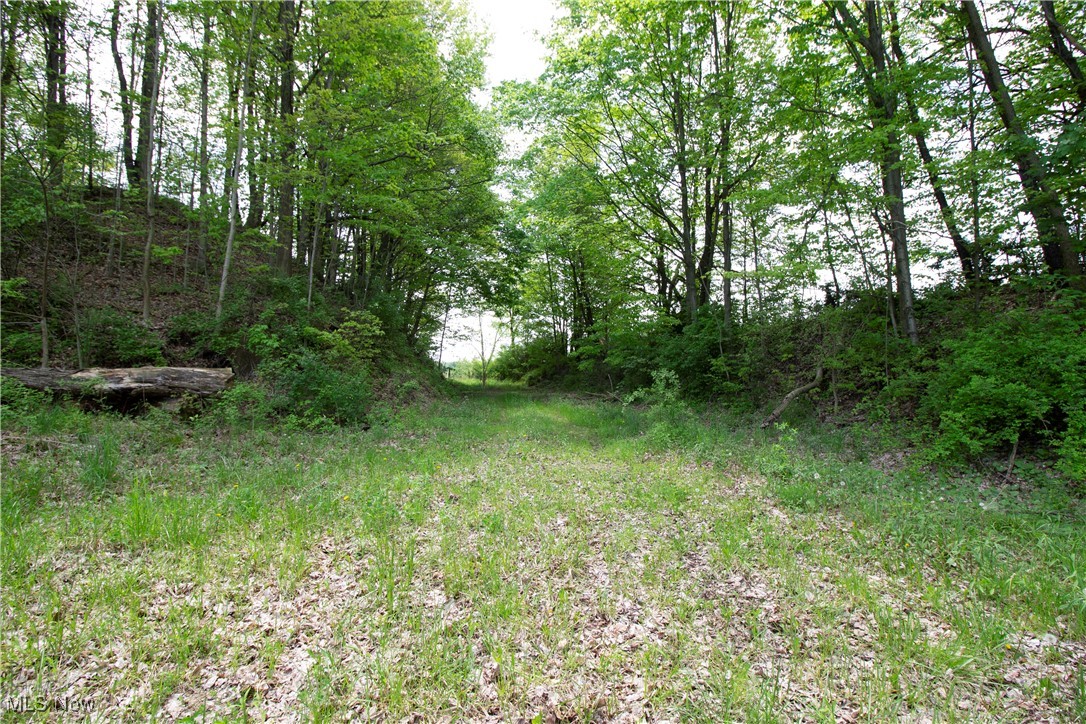 303 State Route Mantua, OH 44255 - Photo 2 of 9 Gallery Image 2