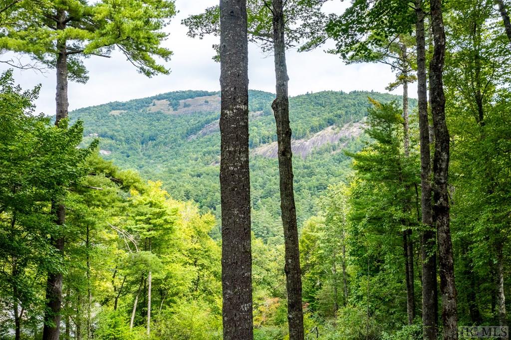 210 Ruffed Grouse Road Cashiers, NC 28717 - Photo 6 of 48 Gallery Image 6