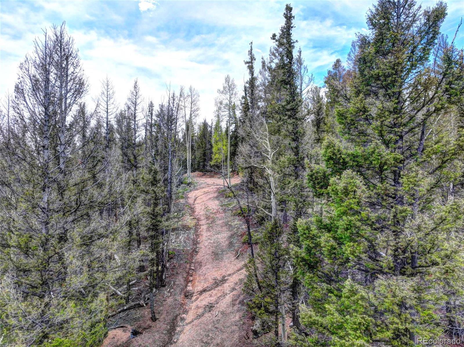 258 Old Squaw Road Como, CO 80432 - Photo 11 of 36 a view of a forest with trees in the background