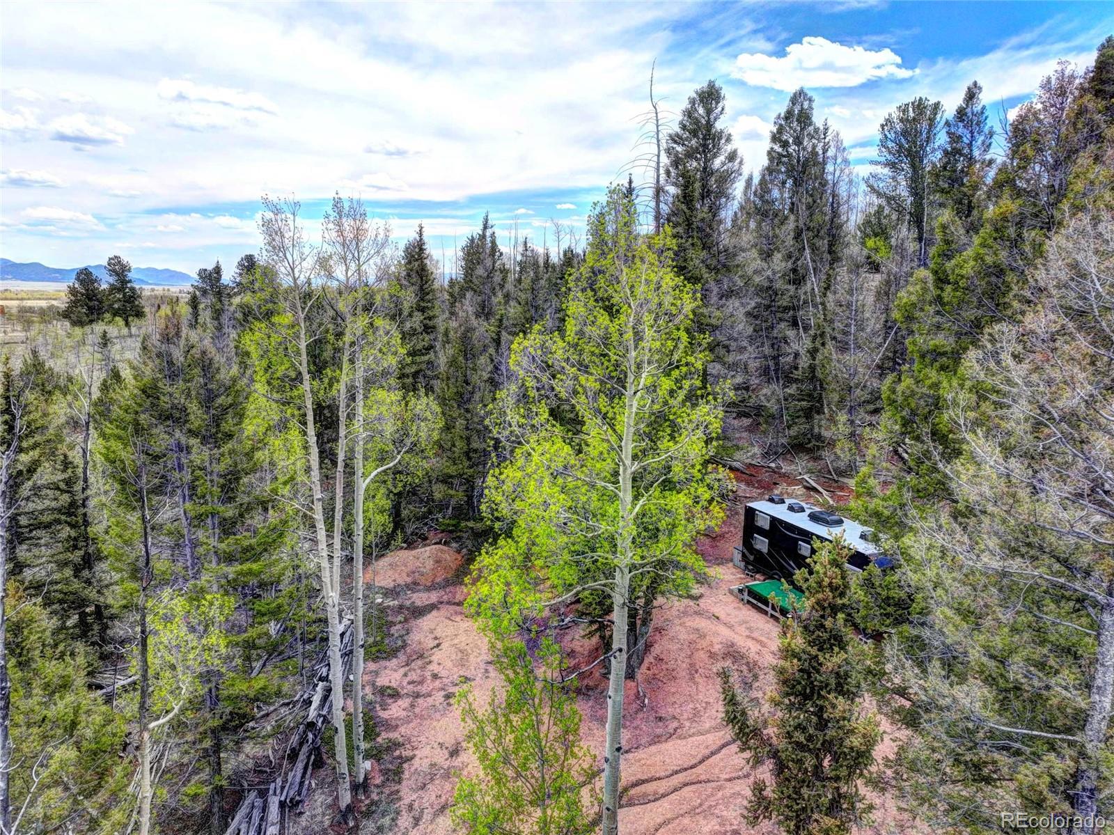 258 Old Squaw Road Como, CO 80432 - Photo 12 of 36 a view of a garden with plants and trees
